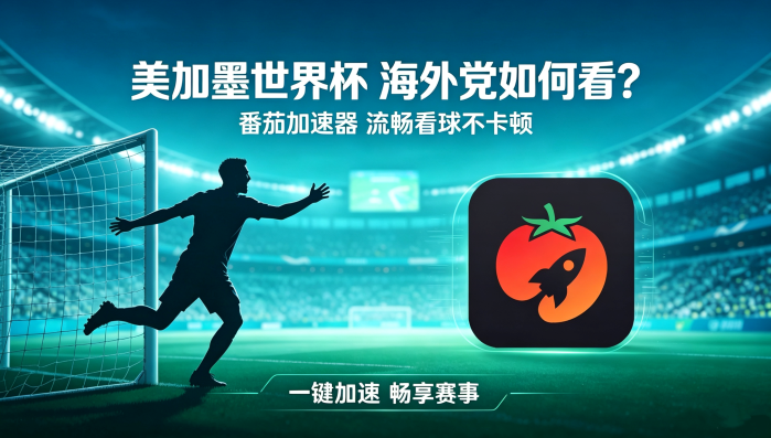 在日本看世界杯中文直播当前IP受限制教程