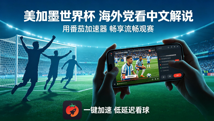 在俄罗斯看世界杯中文直播当前地区不可播放教程